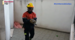 Los bomberos rescatan dos crías de halcón en Dénia  Los bomberos rescatan dos crías de halcón en Dénia