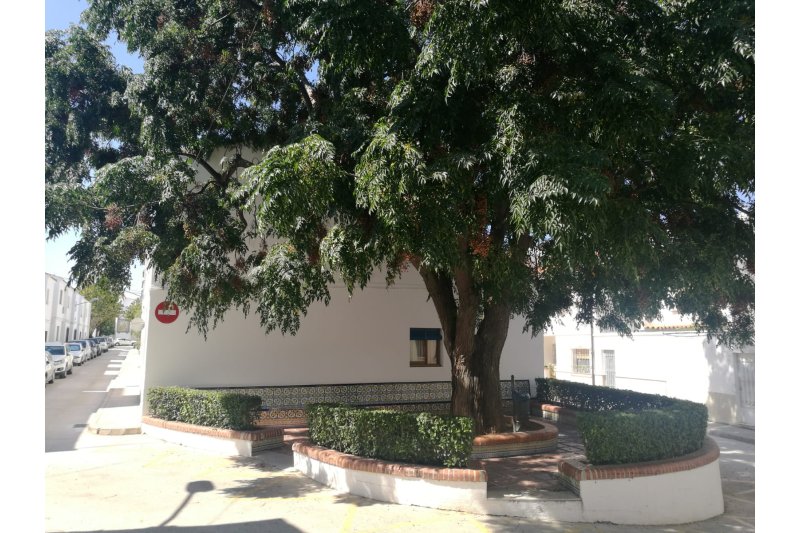 Les estisoradores tindran la seua pròpia placeta a Benissa Les estisoradores tindran la seua pròpia placeta a Benissa