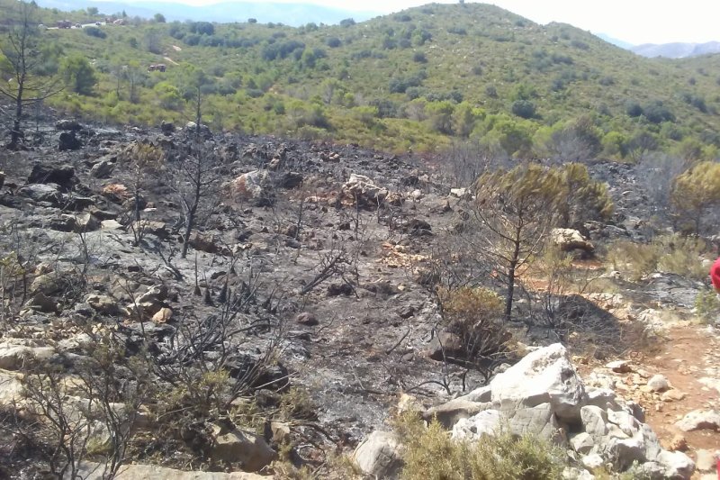 Continúan las tareas de extinción del incendio de la Vall de Gallinera  Continúan las tareas de extinción del incendio de la Vall de Gallinera