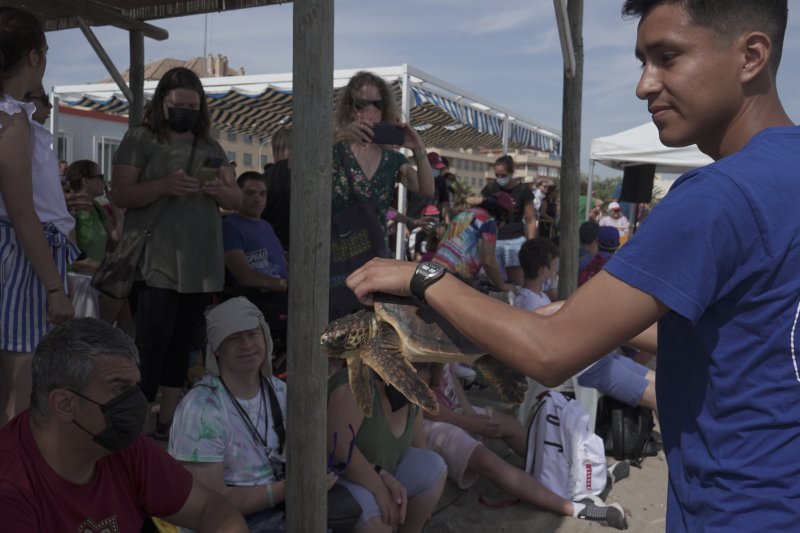 Dénia conmemora el Día Mundial de los Océanos con la suelta de tres tortugas recuperadas en el Oceanogràfic Dénia conmemora el Día Mundial de los Océanos con la suelta de tres tortugas recuperadas en el Oceanogràfic