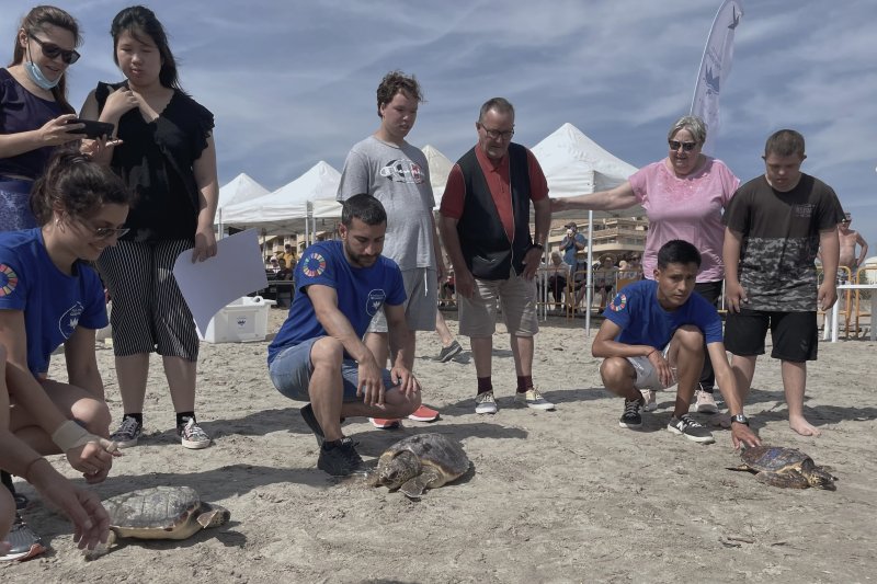Dénia conmemora el Día Mundial de los Océanos con la suelta de tres tortugas recuperadas en el Oceanogràfic Dénia conmemora el Día Mundial de los Océanos con la suelta de tres tortugas recuperadas en el Oceanogràfic