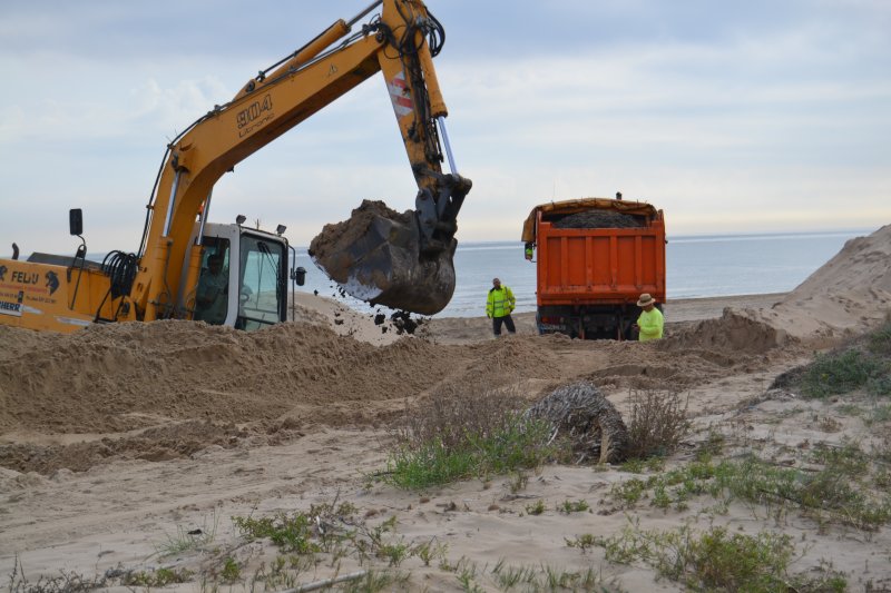 Una duna artificial en Les Deveses  Una duna artificial en Les Deveses