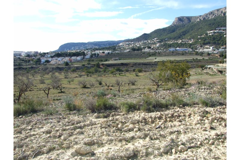 La Conselleria aprueba el parque empresarial y de ocio de Calp tras casi 25 años de trámites La Conselleria aprueba el parque empresarial y de ocio de Calp tras casi 25 años de trámites