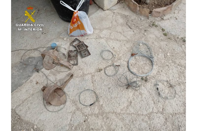 La Guardia Civil investiga en Benissa y Teulada la relación entre unos insecticidas hallados en unas casetas de aperos y el fallecimiento de varios perros La Guardia Civil investiga en Benissa y Teulada la relación entre unos insecticidas hallados en unas casetas de aperos y el fallecimiento de varios perros