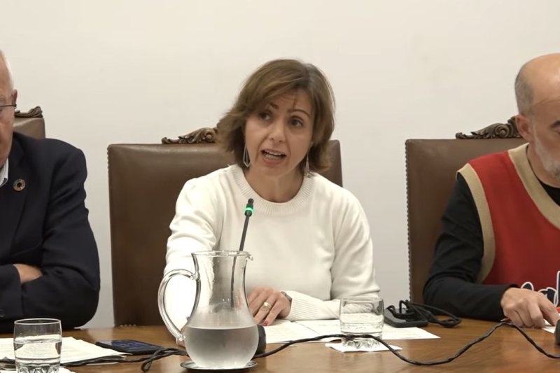 Los socialistas sacan adelante el Plan General de Dénia con el apoyo de Compromís   Los socialistas sacan adelante el Plan General de Dénia con el apoyo de Compromís