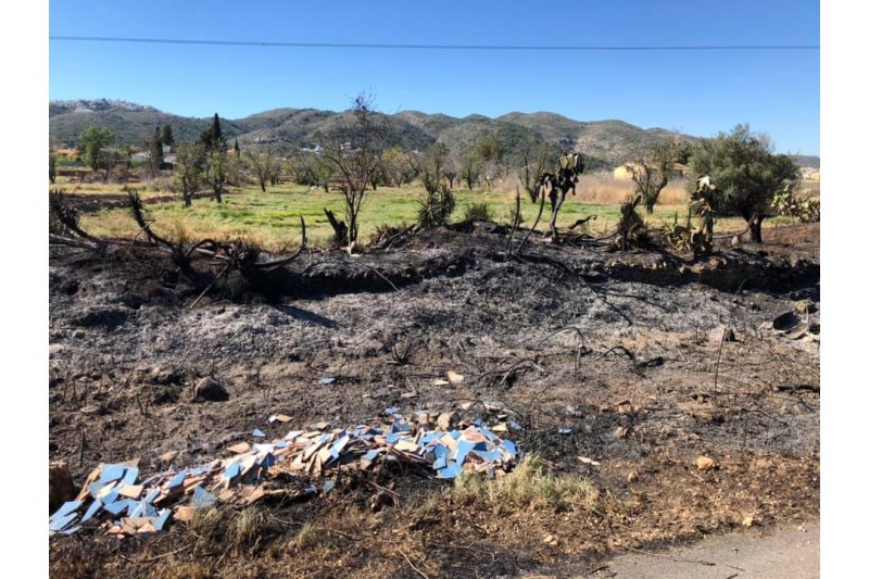 El PSPV atribueix un incendi en un barranc de Pedreguer a la falta de neteja El PSPV atribueix un incendi en un barranc de Pedreguer a la falta de neteja