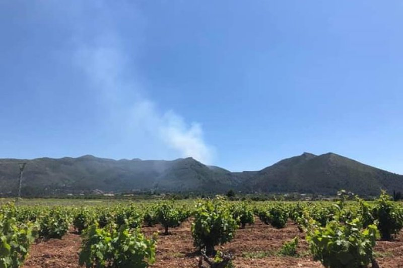 Primeras imágenes del incendio de la Serra de Bèrnia  Primeras imágenes del incendio de la Serra de Bèrnia