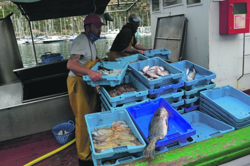 Pescar a contracorriente y con mar de fondo Pescar a contracorriente y con mar de fondo