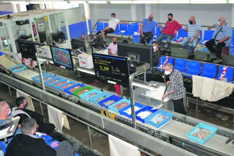 Pescar a contracorriente y con mar de fondo Pescar a contracorriente y con mar de fondo