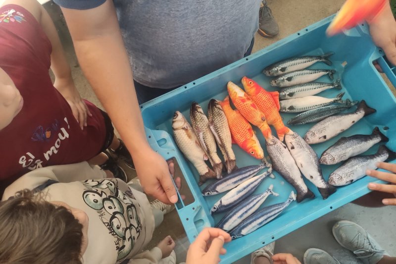 Mirando al mar, soñamos Mirando al mar, soñamos