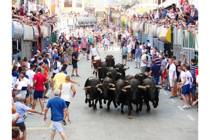 Pedreguer celebrarà les primeres Festes de Juliol post-covid sense quintada Pedreguer celebrarà les primeres Festes de Juliol post-covid sense quintada