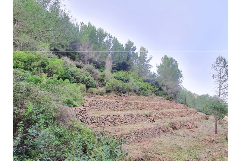 El Pla de prevenció d’incendis forestals de Pego arriba a les partides del Xical i Montnegre El Pla de prevenció d’incendis forestals de Pego arriba a les partides del Xical i Montnegre