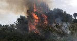 Incendio en un barranco de Xàbia  Incendio en un barranco de Xàbia