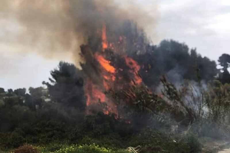 Incendio en un barranco de Xàbia  Incendio en un barranco de Xàbia