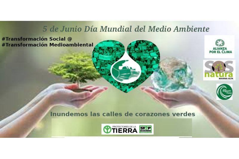 Corazones verdes para reivindicar la protección del planeta  Corazones verdes para reivindicar la protección del planeta