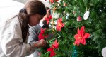 Los alumnos del Colegio Raquel Payà decoran el árbol de Navidad del Hospital de Dénia Los alumnos del Colegio Raquel Payà decoran el árbol de Navidad del Hospital de Dénia