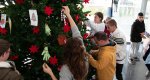 Los alumnos del Colegio Raquel Payà decoran el árbol de Navidad del Hospital de Dénia Los alumnos del Colegio Raquel Payà decoran el árbol de Navidad del Hospital de Dénia