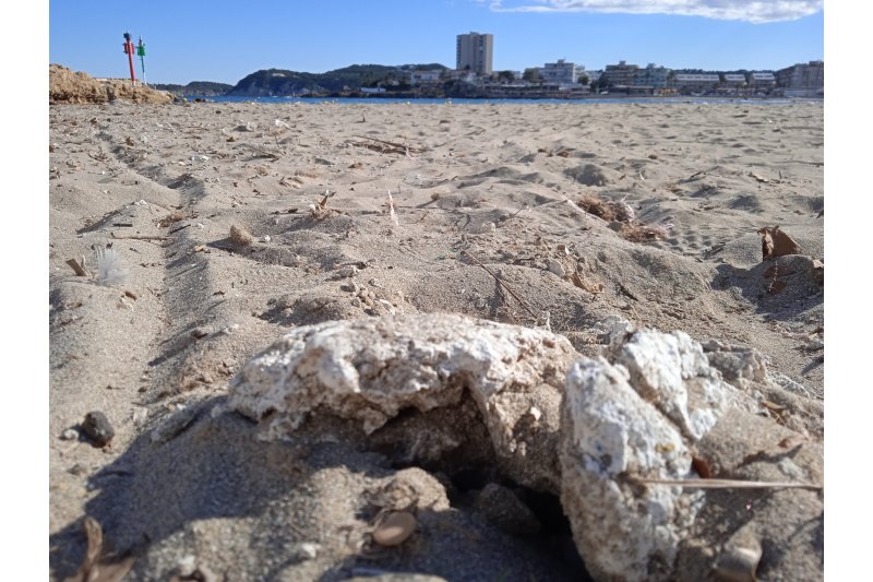 Los ecologistas piden el cierre de la playa del Arenal de Xàbia por las condiciones insalubles  Los ecologistas piden el cierre de la playa del Arenal de Xàbia por las condiciones insalubles