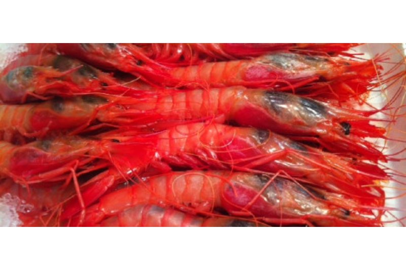 Abiertas las inscripciones para el Concurso internacional de Cocina Creativa de la Gamba Roja de Dénia Abiertas las inscripciones para el Concurso internacional de Cocina Creativa de la Gamba Roja de Dénia