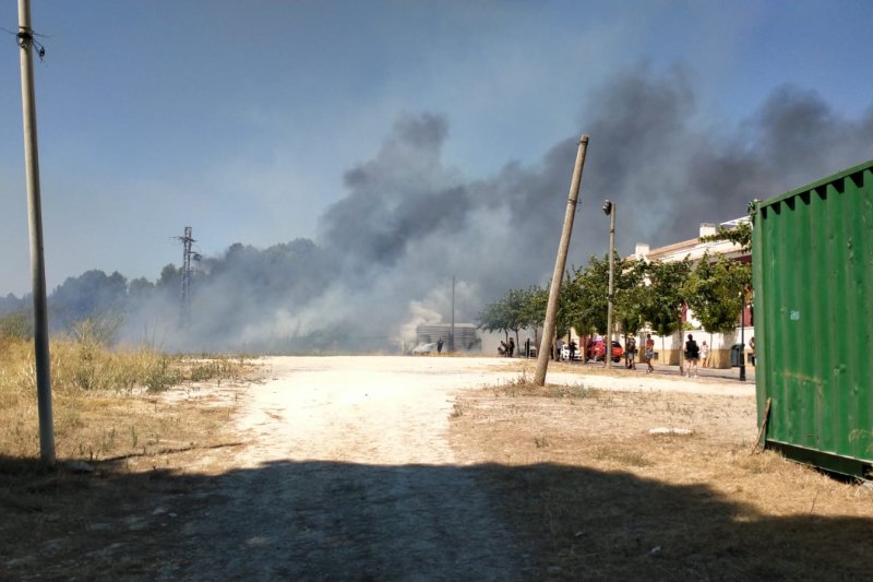Un incendio en Jesús Pobre afecta a un pinar cercano a unas viviendas  Un incendio en Jesús Pobre afecta a un pinar cercano a unas viviendas