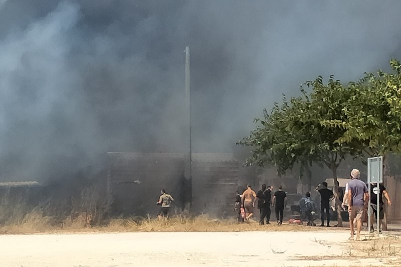 Un incendio en Jesús Pobre afecta a un pinar cercano a unas viviendas  Un incendio en Jesús Pobre afecta a un pinar cercano a unas viviendas