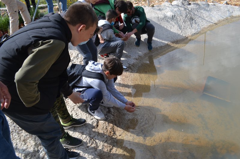 El atragantabueyes encuentra casa en una balsa de la Mallà Verda de Benissa El atragantabueyes encuentra casa en una balsa de la Mallà Verda de Benissa