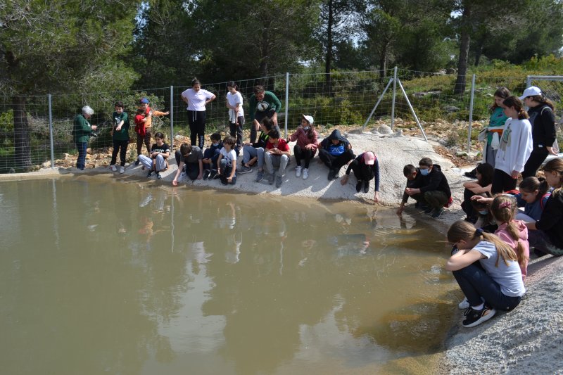 El atragantabueyes encuentra casa en una balsa de la Mallà Verda de Benissa El atragantabueyes encuentra casa en una balsa de la Mallà Verda de Benissa