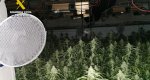 La Guardia Civil desmantela un grupo criminal dedicado al cultivo de marihuana en chalets de lujo de Calp La Guardia Civil desmantela un grupo criminal dedicado al cultivo de marihuana en chalets de lujo de Calp