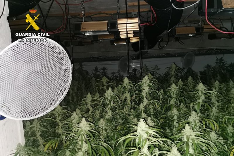 La Guardia Civil desmantela un grupo criminal dedicado al cultivo de marihuana en chalets de lujo de Calp La Guardia Civil desmantela un grupo criminal dedicado al cultivo de marihuana en chalets de lujo de Calp
