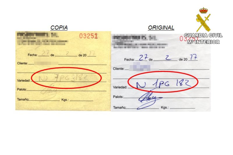 La Guardia Civil detiene en El Verger  a un hombre por una estafa en la venta de 18 toneladas de naranjas  La Guardia Civil detiene en El Verger  a un hombre por una estafa en la venta de 18 toneladas de naranjas