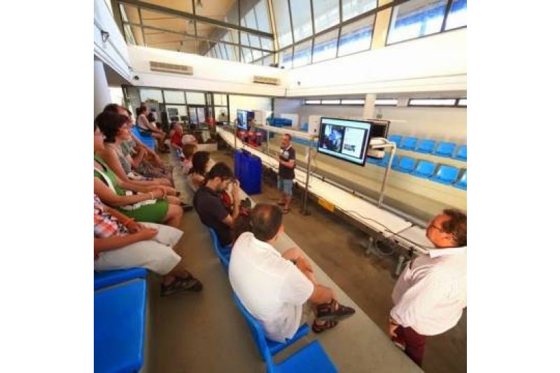 El  joven Josué Labios gana un premio con un estudio de investigación sobre la subasta de pescado de Dénia  El  joven Josué Labios gana un premio con un estudio de investigación sobre la subasta de pescado de Dénia