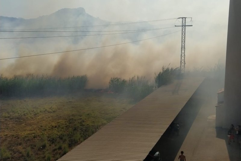 El  incendio en Les Marines ha quemado una hectárea y media de cañar El  incendio en Les Marines ha quemado una hectárea y media de cañar