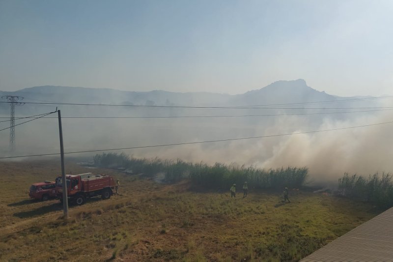El  incendio en Les Marines ha quemado una hectárea y media de cañar El  incendio en Les Marines ha quemado una hectárea y media de cañar