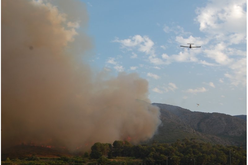 La Mancomunitat de Pego i les Valls organitza unes jornades participatives per a la recuperació ambiental  La Mancomunitat de Pego i les Valls organitza unes jornades participatives per a la recuperació ambiental