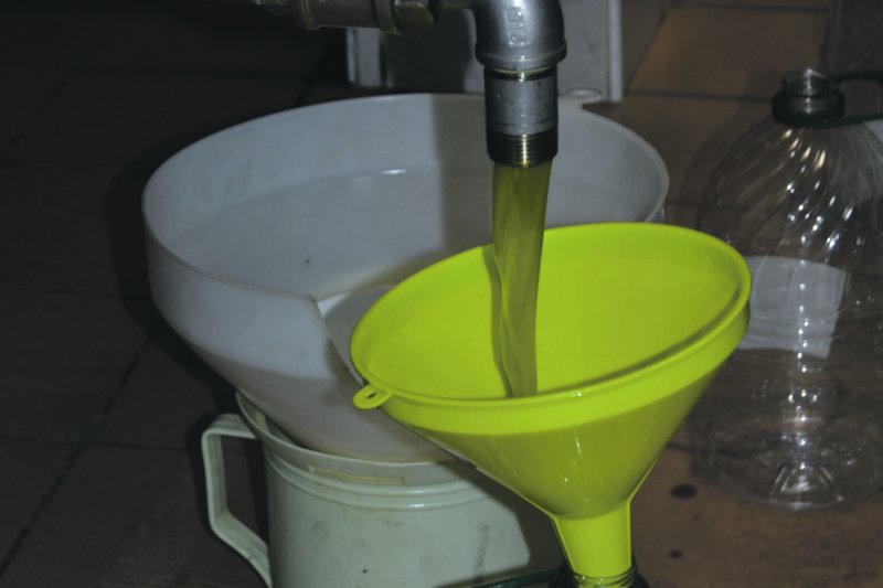 El gust per l’oli de producció pròpia El gust per l’oli de producció pròpia