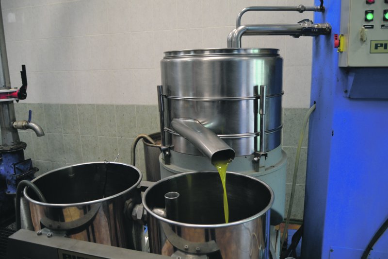 El gust per l’oli de producció pròpia El gust per l’oli de producció pròpia