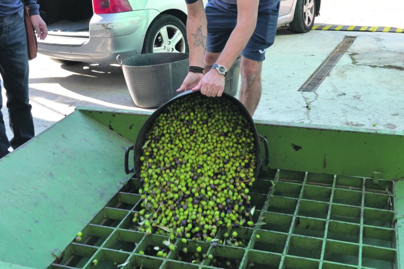 El gust per l’oli de producció pròpia El gust per l’oli de producció pròpia