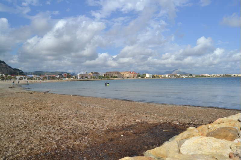 Veintidós personas informarán en las playas de lo que no se puede hacer  Veintidós personas informarán en las playas de lo que no se puede hacer