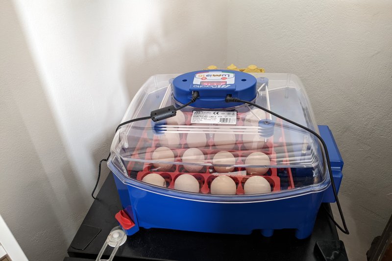 Una valenciana de Chulilla en la Marina Alta Una valenciana de Chulilla en la Marina Alta