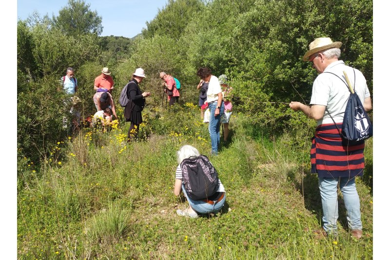 Segundo recorrido de Podemos Xàbia para explorar el mundo de las orquídeas Segundo recorrido de Podemos Xàbia para explorar el mundo de las orquídeas
