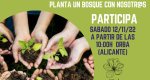 Se busca voluntariado para una plantación de bosque mediterráneo en Orba  Se busca voluntariado para una plantación de bosque mediterráneo en Orba
