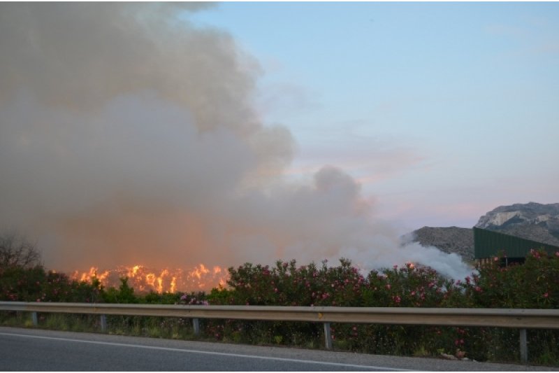 Un incendio quema los montones de algas acumulados junto a la planta de compostaje  Un incendio quema los montones de algas acumulados junto a la planta de compostaje