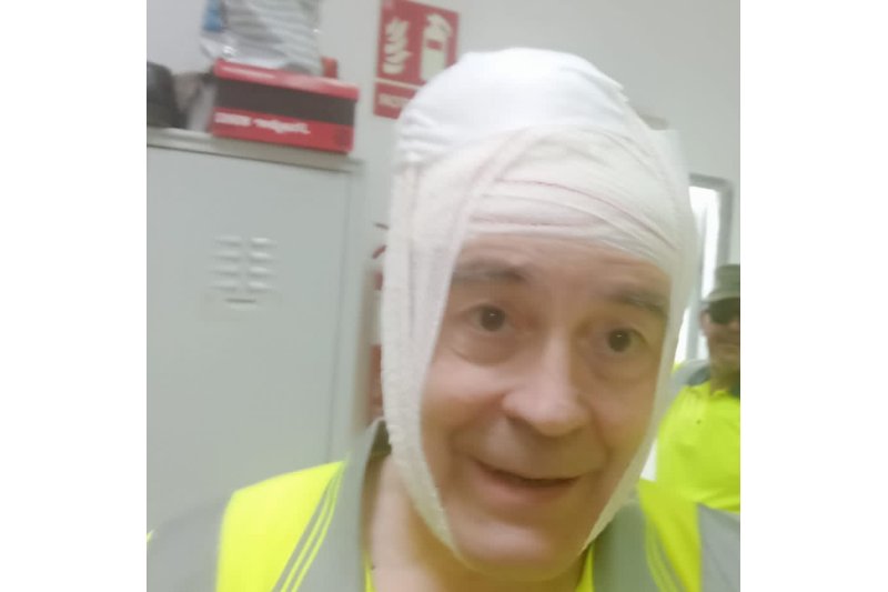 Una gaviota ataca a un trabajador del Ayuntamiento y le provoca una herida en la cabeza Una gaviota ataca a un trabajador del Ayuntamiento y le provoca una herida en la cabeza