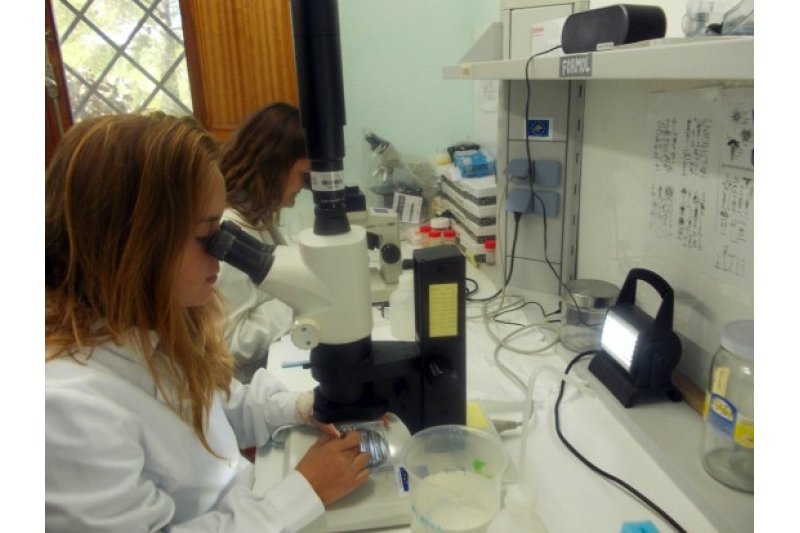 La Estación Científica Montgó se une al proyecto internacional para acabar con la pesca ilegal y excesiva  La Estación Científica Montgó se une al proyecto internacional para acabar con la pesca ilegal y excesiva