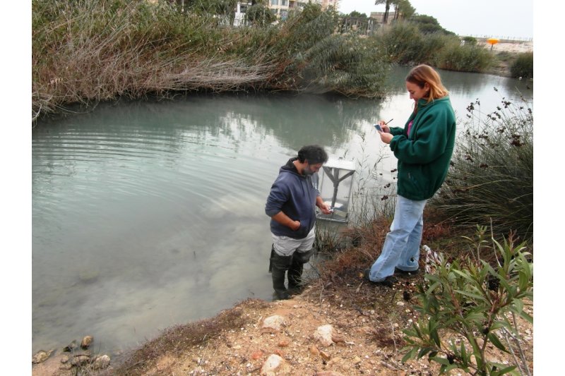 El Institut Cavanilles estudiará el Marjal del Senillar El Institut Cavanilles estudiará el Marjal del Senillar