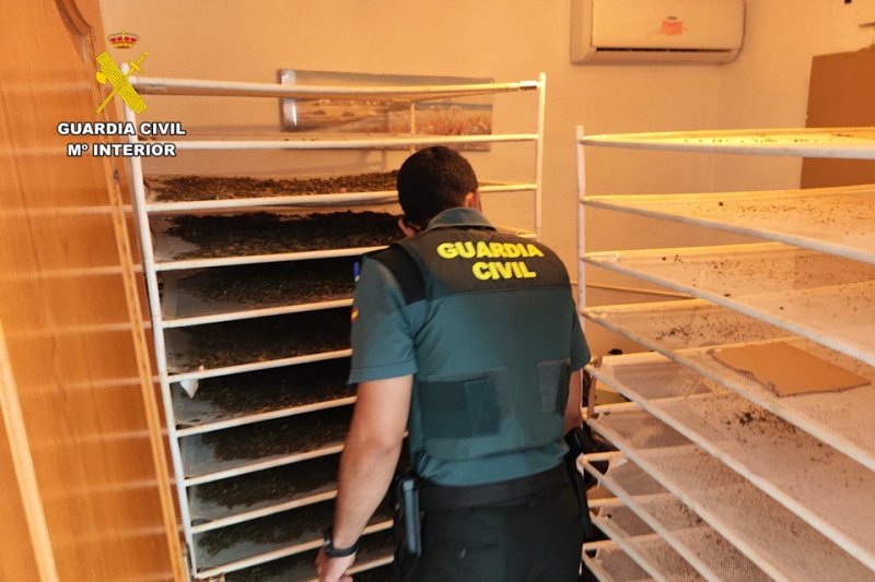 Dos hombres ingresan en prisión por tener una plantación de marihuana en un chalet de Calp Dos hombres ingresan en prisión por tener una plantación de marihuana en un chalet de Calp