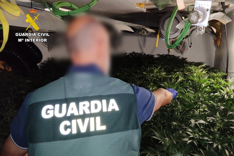 Dos hombres ingresan en prisión por tener una plantación de marihuana en un chalet de Calp Dos hombres ingresan en prisión por tener una plantación de marihuana en un chalet de Calp