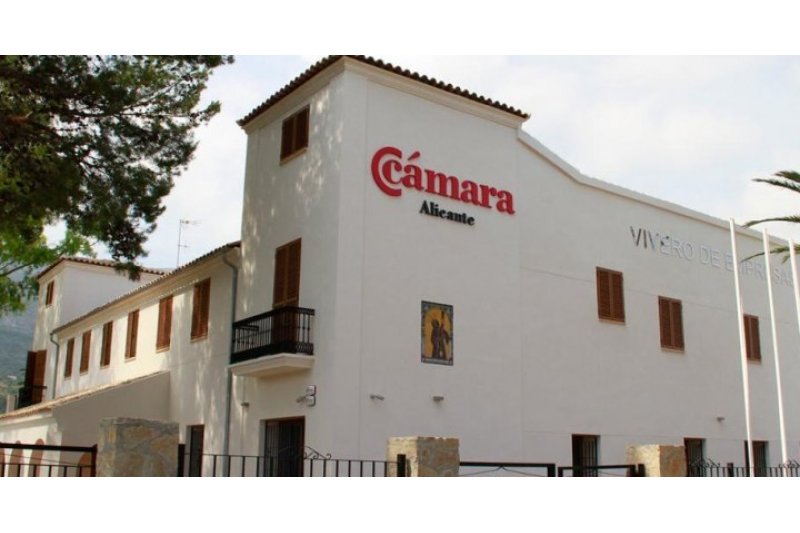 El Vivero de Empresas de Dénia dará formación a veinte emprendedores  El Vivero de Empresas de Dénia dará formación a veinte emprendedores