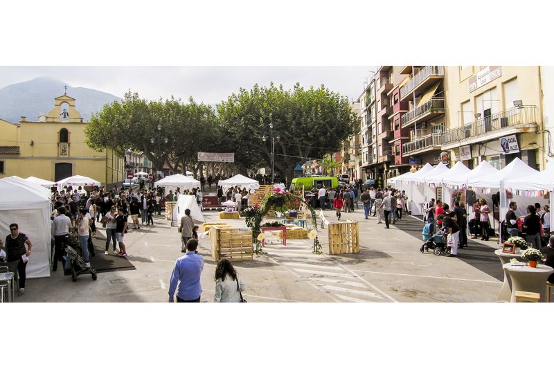 Les demostracions a l’aire lliure donen una nova empenta a la Fira de Comerç de Pego com aparador de l’interior de la comarca Les demostracions a l’aire lliure donen una nova empenta a la Fira de Comerç de Pego com aparador de l’interior de la comarca