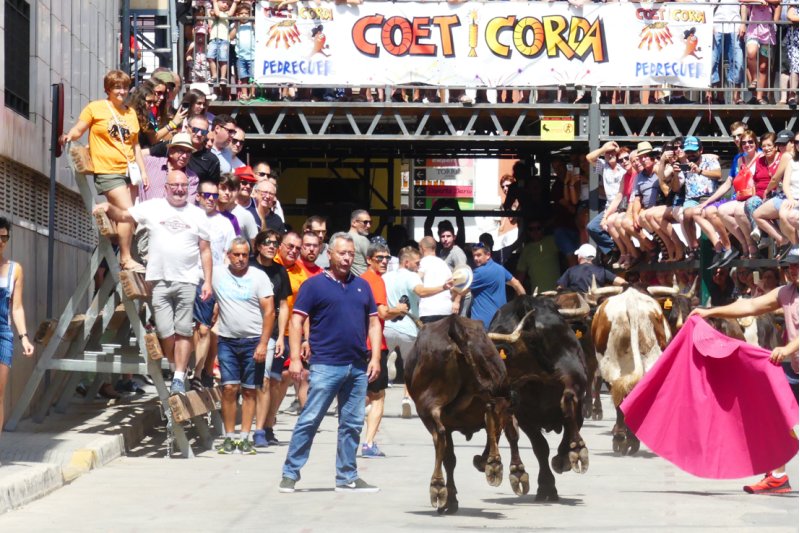 El Ayuntamiento de Pedreguer no autoriza una manifestación contra los bous al carrer porque no se garantiza la seguridad El Ayuntamiento de Pedreguer no autoriza una manifestación contra los bous al carrer porque no se garantiza la seguridad